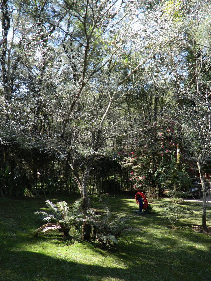 Recanto Dos Kerr มงชิแวร์จิ ภายนอก รูปภาพ